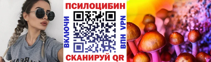 где купить   omg ссылки  Галлюциногенные грибы Psilocybe  Злынка 